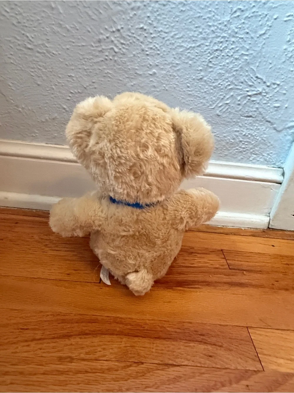 Build-A-Bear Employee Champ Bear from 2009
